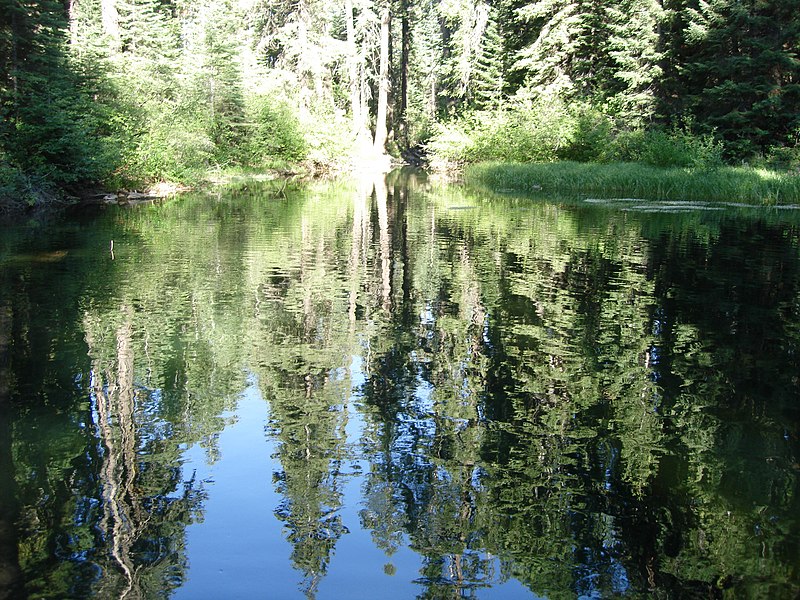 File:Clear Lake, South Warner Wilderness, Modoc National Forest.jpg