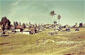 Tutuala village in 1966.