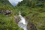 Alpine stream above Binn