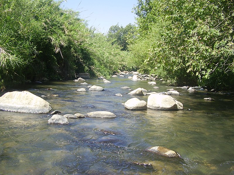 File:SnirRiver4.JPG