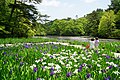 神戸市立森林植物園（兵庫県神戸市）