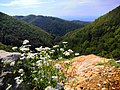 Kozara Ulusal Parkı