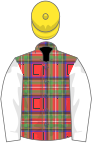 Tartan, white sleeves, yellow cap