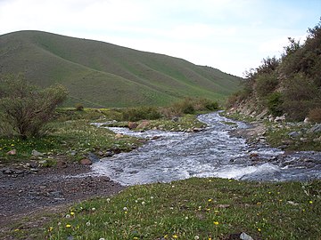 Rivière au pied du Tupungato, 2005