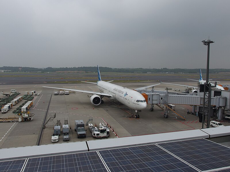 File:Plane watching @ Narita Airport (15259755582).jpg