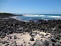 Tortuga Bay Volcanic Rocks