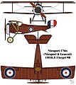 Nieuport 17bis (Nieuport & General)