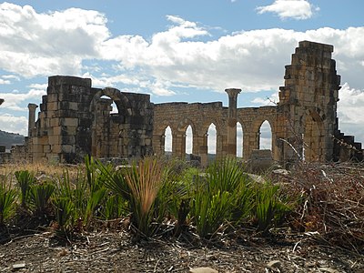 Roman ruins, Volubilis by Baca12