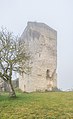 * Nomination Castle of Chanac, Lozère, France. (By Krzysztof Golik) --Sebring12Hrs 06:38, 7 July 2021 (UTC) * Promotion  Support Good quality. May be better with the whole tree at the left. --XRay 08:47, 7 July 2021 (UTC)