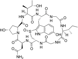 Image illustrative de l’article Gamma-Amanitine