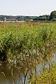 Deutsch: Die Lindau in Boren, kurz vor ihrer Mündung in das Lindauer Noor.