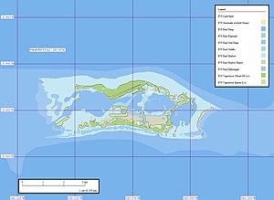 Koartn vom Palmyra-Atoll