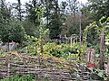 Guédelon vegetable garden, Treigny-Perreuse-Sainte-Colombe.