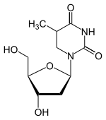 Image illustrative de l’article 5,6-Dihydrothymidine