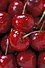 Bing cherries