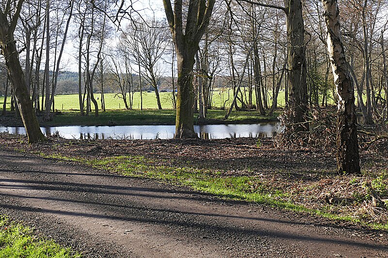 File:Grove Lane, Swinley Forest - geograph.org.uk - 4855927.jpg