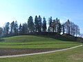 de Hoger vo der eemoolige Burg Werdegg