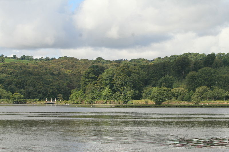 File:Molana Priory Bridge And Dam 2007 08 06.jpg