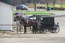 Geparkeerde Amish buggy's in Holmes County (Ohio)