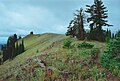 Der Oregon Butte in der Wenaha–Tucannon Wilderness