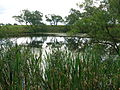 The flooded Auchenmade claypit.