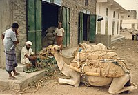 Yemeni man tying his Saroon. Sometimes people keep money or small utensils in the folds of the futah.