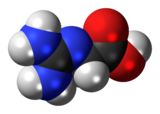 Spacefill model of a glycocyamine minor tautomer