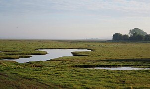 Polder Saint Michel - panoramio.jpg