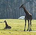 Safaripark Beekse Bergen