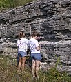 ABD'nin Tennessee eyaletinde bulunan Ordovisiyen kireç taşının stratigrafik bir bölümü Daha az dirençli ve daha ince yataklar şistten oluşur. Dikey çizgiler, yol inşaatı sırasında kullanılan patlayıcılar için deliklerdir.