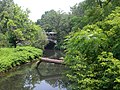 Entering the Botanical Garden