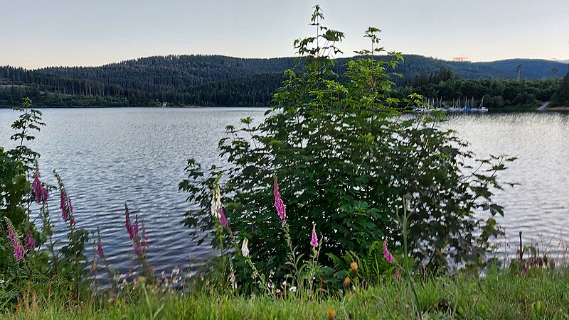 File:Landappbw 460513 1817 Vom See auf den Ort Schluchsee.jpg