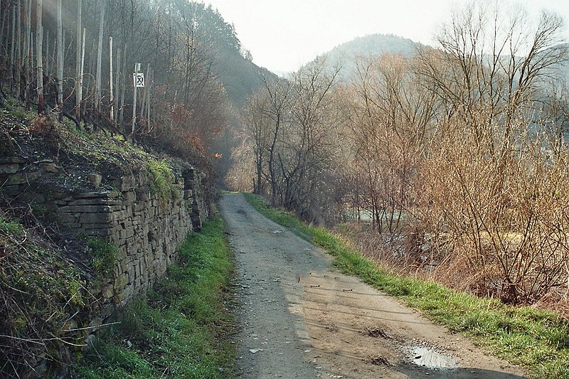 File:Rech, Wanderweg entlang der Ahr.jpg