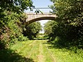 Viadukt under en bivej nord for Kongsholm