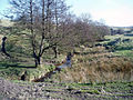 Crag Clough on the northern boundary with Rimington.