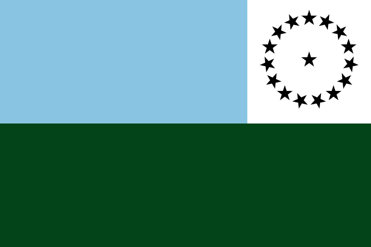 File:Flag of Bojayá (Chocó).svg