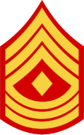 E-8 First Sergeant (1stSgt)