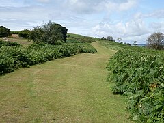 Offa's Dyke Path on Hergest Ridge - geograph.org.uk - 6931722.jpg