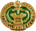 Drill Sergeant Identification Badge