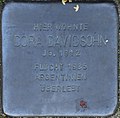 Hagenow Stolperstein Parkstraße 33 Davidsohn, Dora