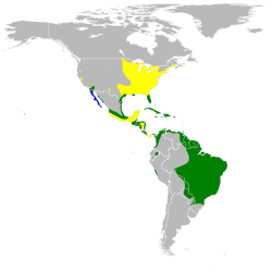 Distribución de Ixobrychus exilis Amarillo: durante tiempo de anidación, verde: todo el año, azul: durante el tiempo no reproductivo