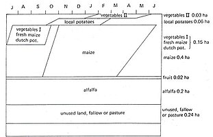 Fig. P1. Typical cropping calendar of an irrigated farm in the Punata area