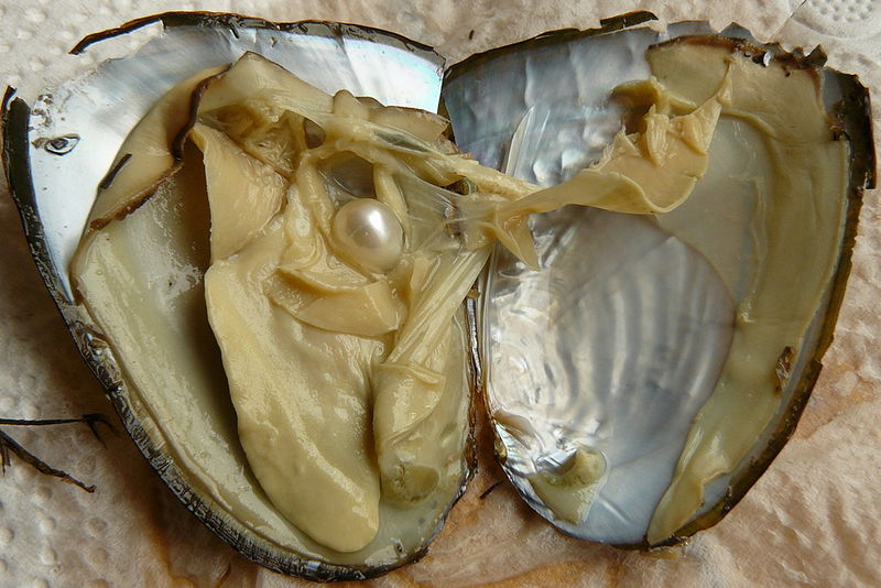 File:Pearls wwalas 3.jpg