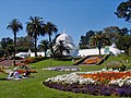 Conservatory of Flowers