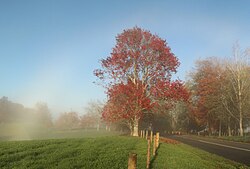 The Paterangi pā site