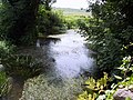 Rivière bordée d'arbres