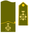 Capitán general/generalísimo