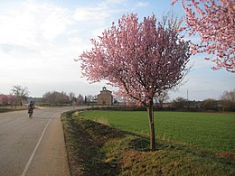 Alcubilla de Avellaneda – Veduta