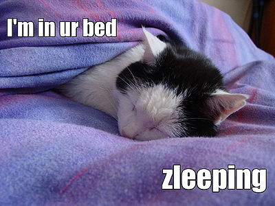 ZLEEEEEEPZZZZ