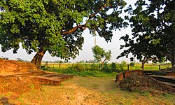 The east gate at the Tilaurakot archaeological site.